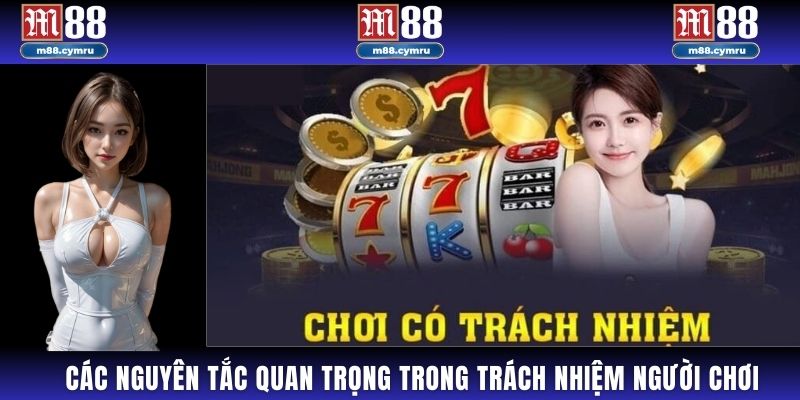 Các nguyên tắc quan trọng trong trách nhiệm người chơi